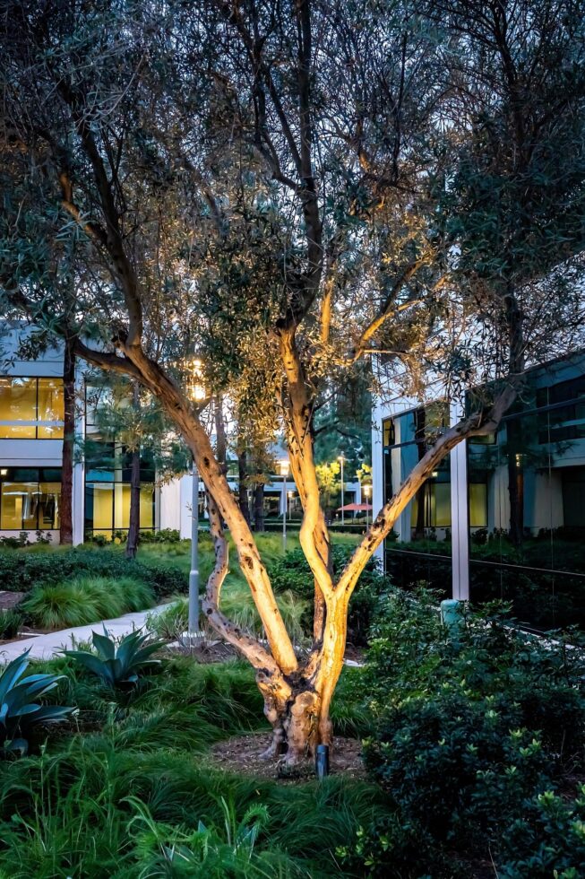 Vista Commercial Outdoor LED Lighting at Lakeview Business Center