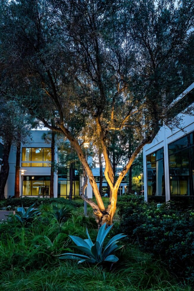 Vista Commercial Outdoor LED Lighting at Lakeview Business Center