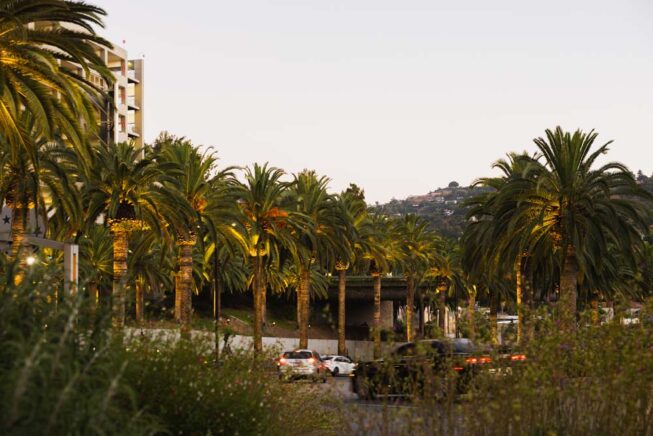Vista Pro landscape lighting illuminates the entrance to Universal Studios