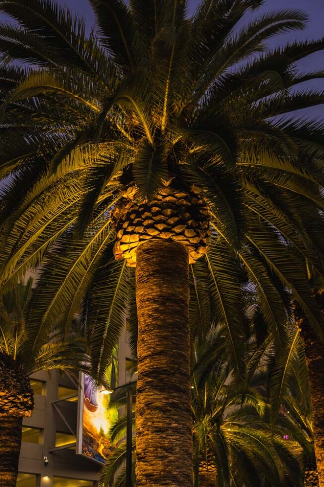 Vista Pro landscape lighting illuminates the entrance to Universal Studios