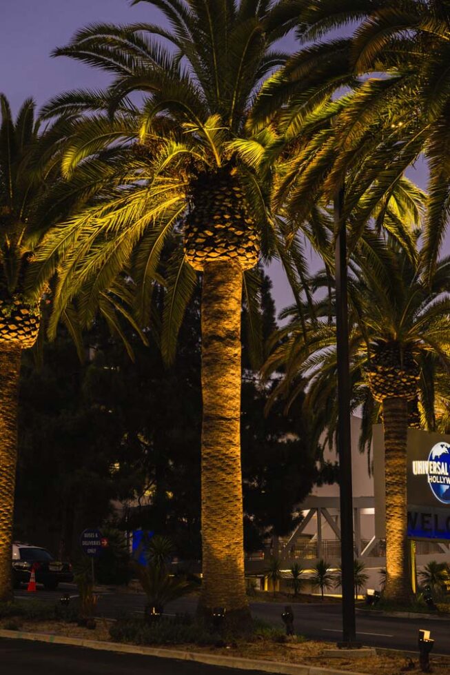 Vista Pro landscape lighting illuminates the entrance to Universal Studios
