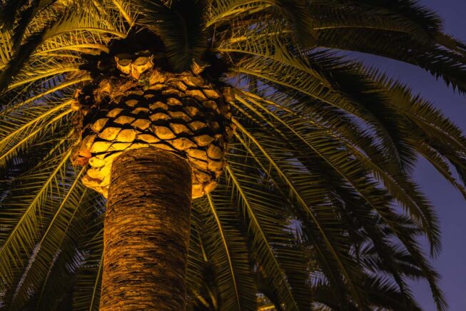 Vista Pro landscape lighting illuminates the entrance to Universal Studios