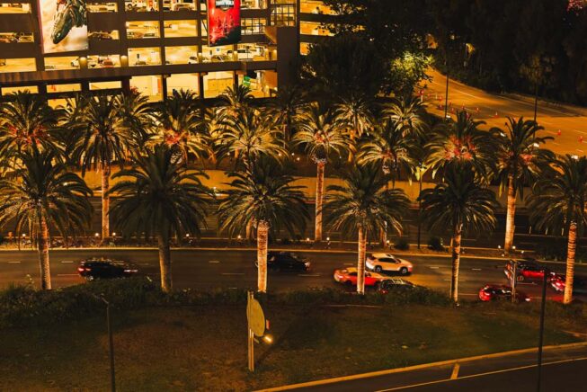 Vista Pro landscape lighting illuminates the entrance to Universal Studios